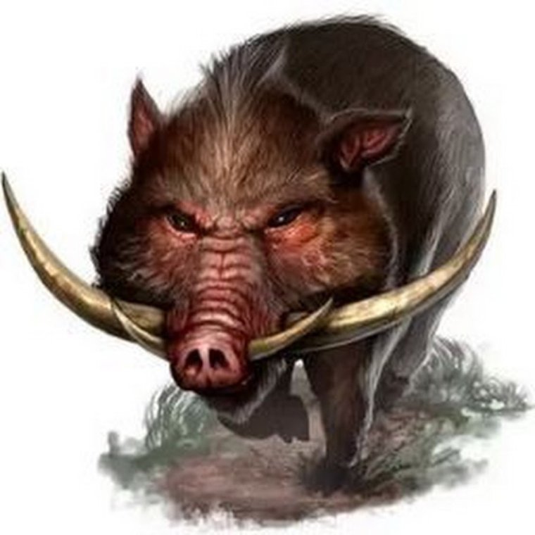 Поросенок в шапке