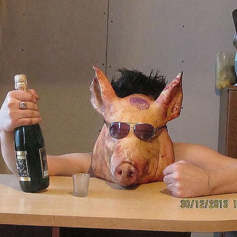 Сытый кабан