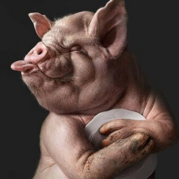 Свинья с сигаретой