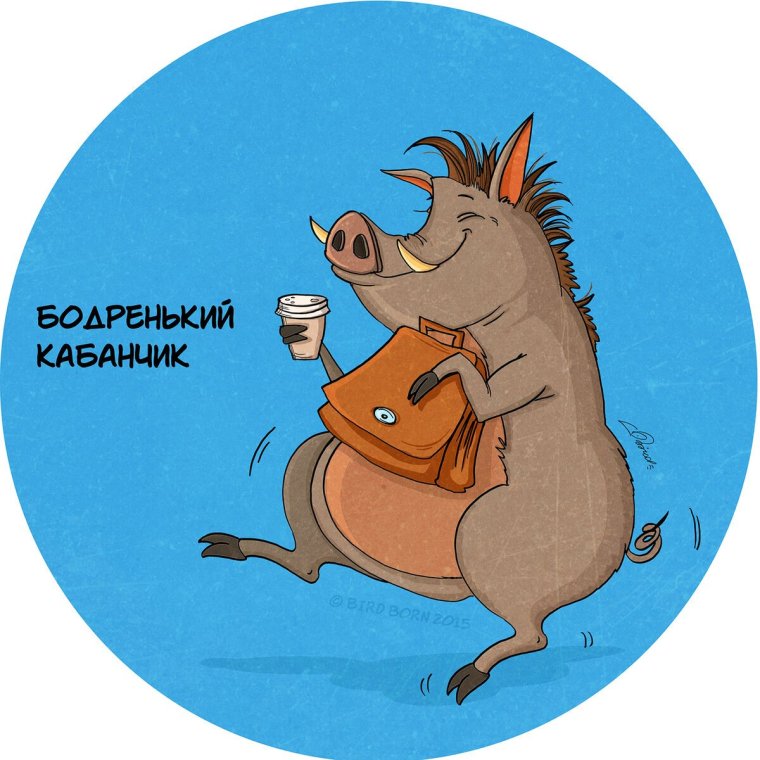 Свинья в форме