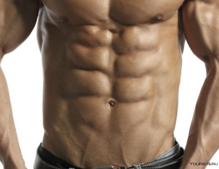Пресс у девушек
