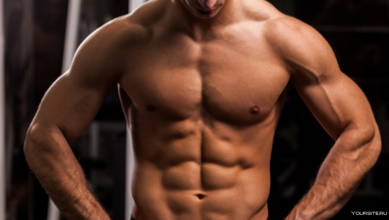 Кубики пресса у парней