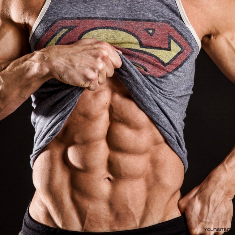 Мышцы пресса