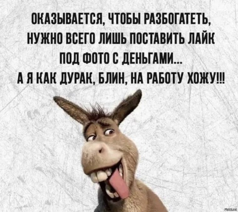 Цитаты про усталость шуточные