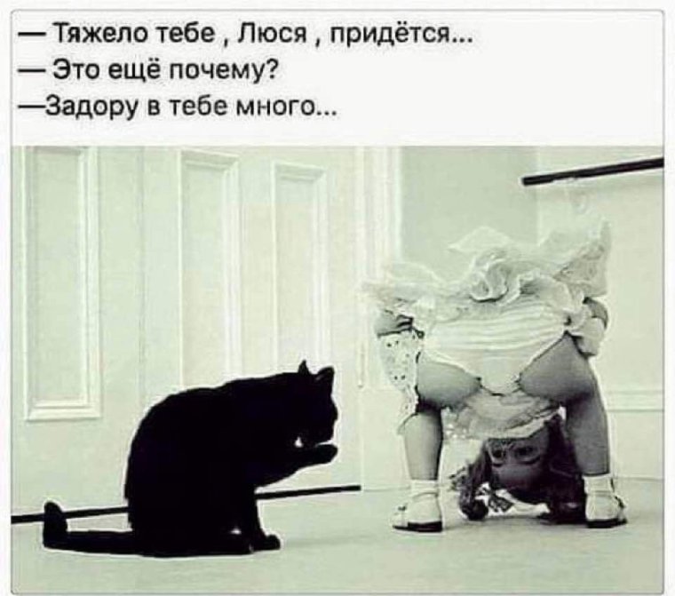 Фото Джона Дрисдейла