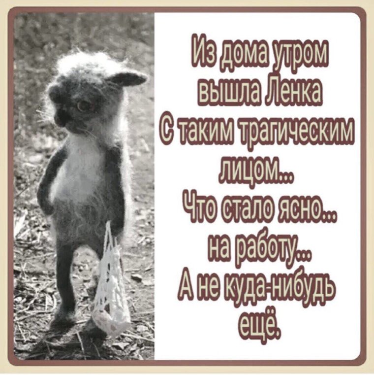 Смешное стихотворение про ленку