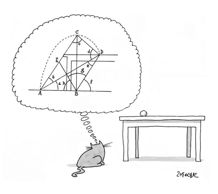 Шутки про математику