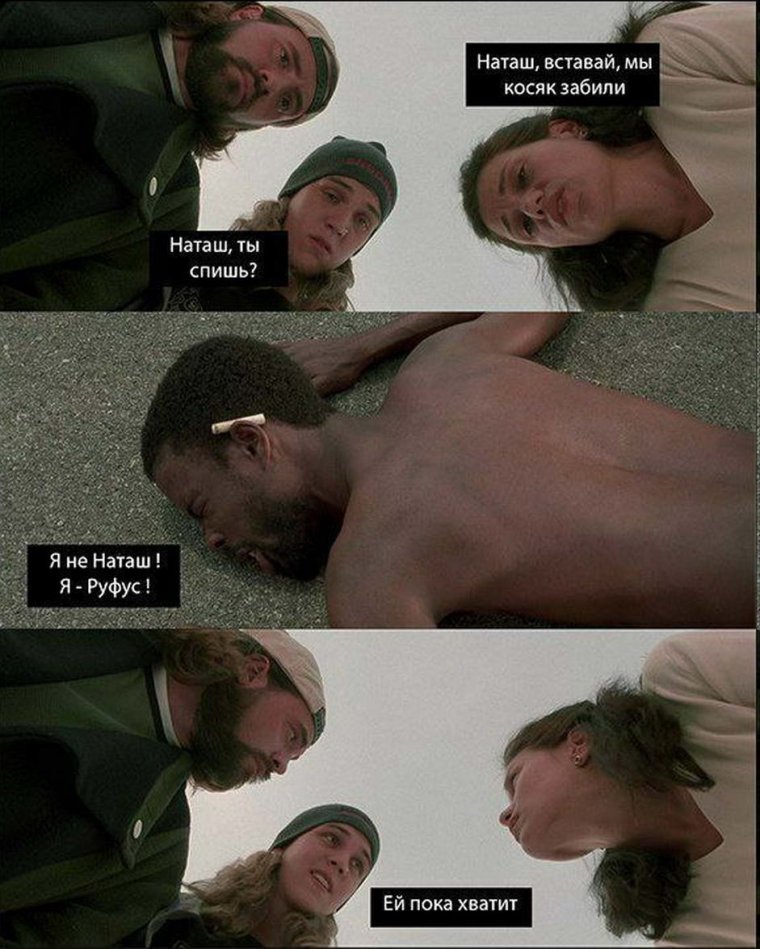 Наташа и котики