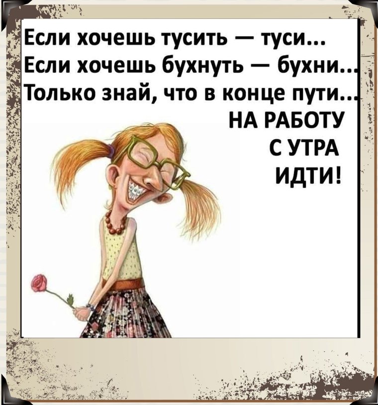 Живу бедно сыр с плесенью