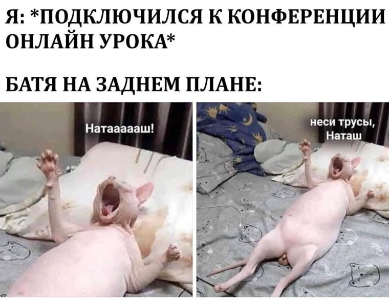 Одноклассники приколы смешные