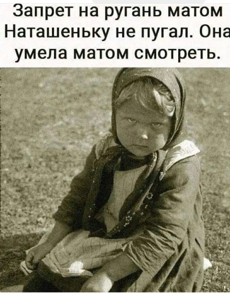 Мемы про Лену и котов