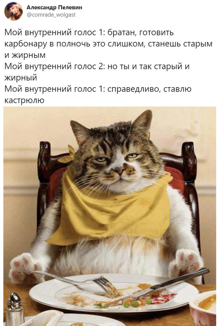 Голубь Наташа