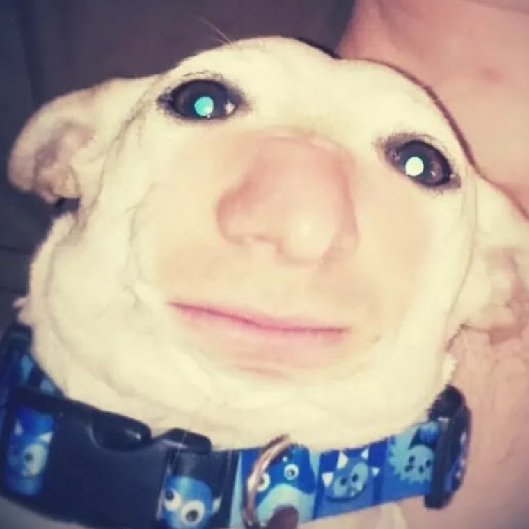 Смешное выражение лица