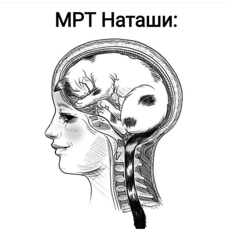 Приколы про Наташу