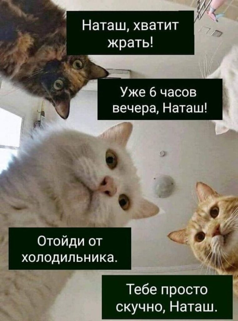 Юморные комплименты