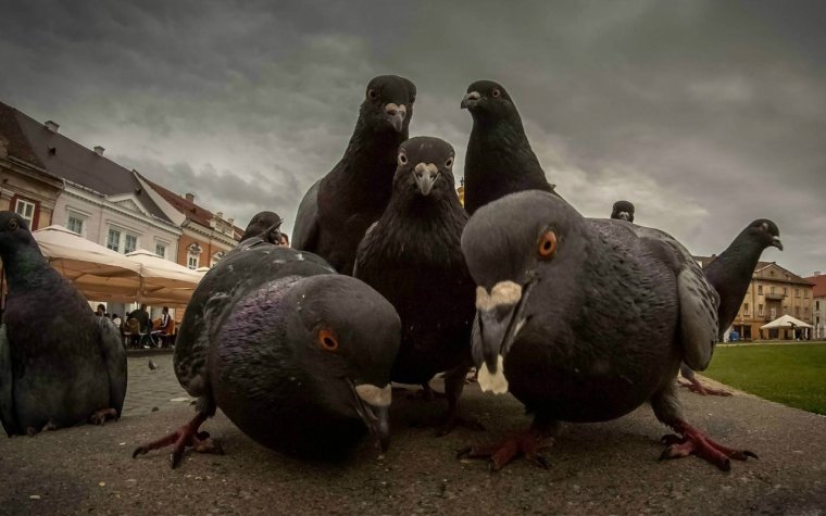 Смешные афоризмы про Таню