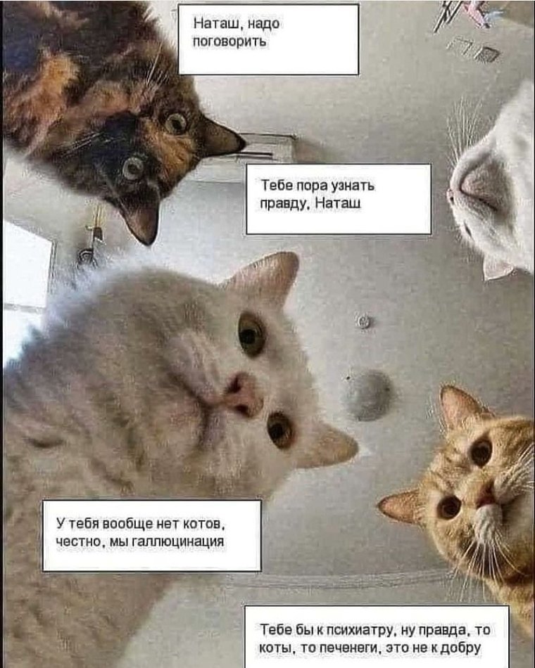 Вот такие они Мои сисечки