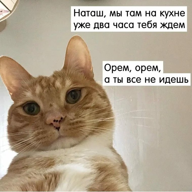 Высказывания про Наташу