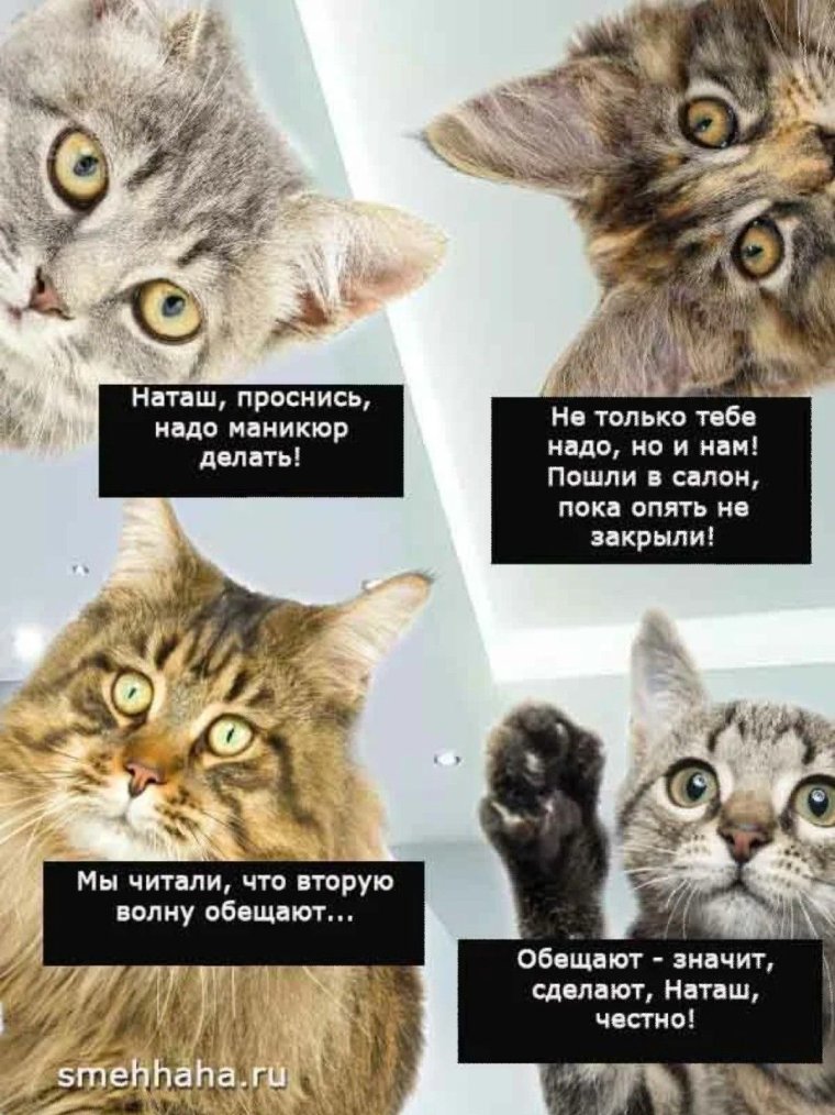 Цитаты про Наташу смешные