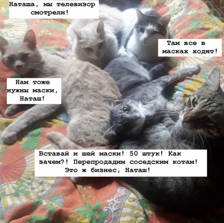 Приколы про Наташу