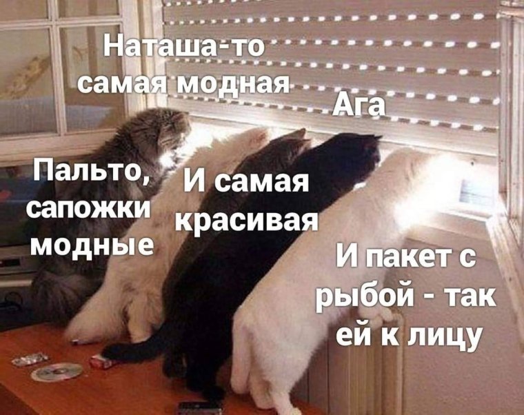 Наташа ты куда
