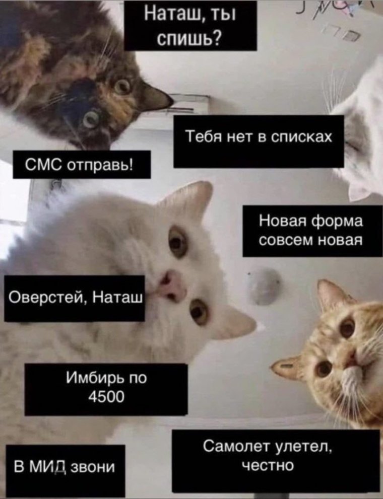 Нагаш вставай