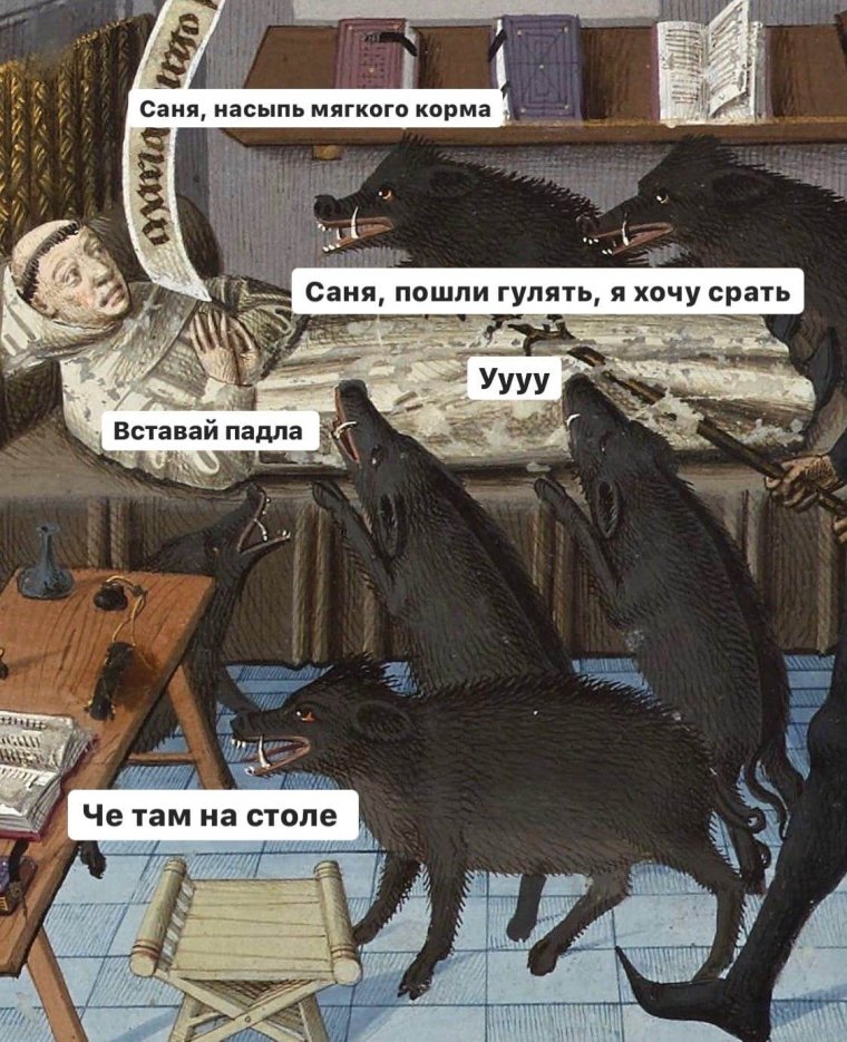 Мемы с котами и Наташей