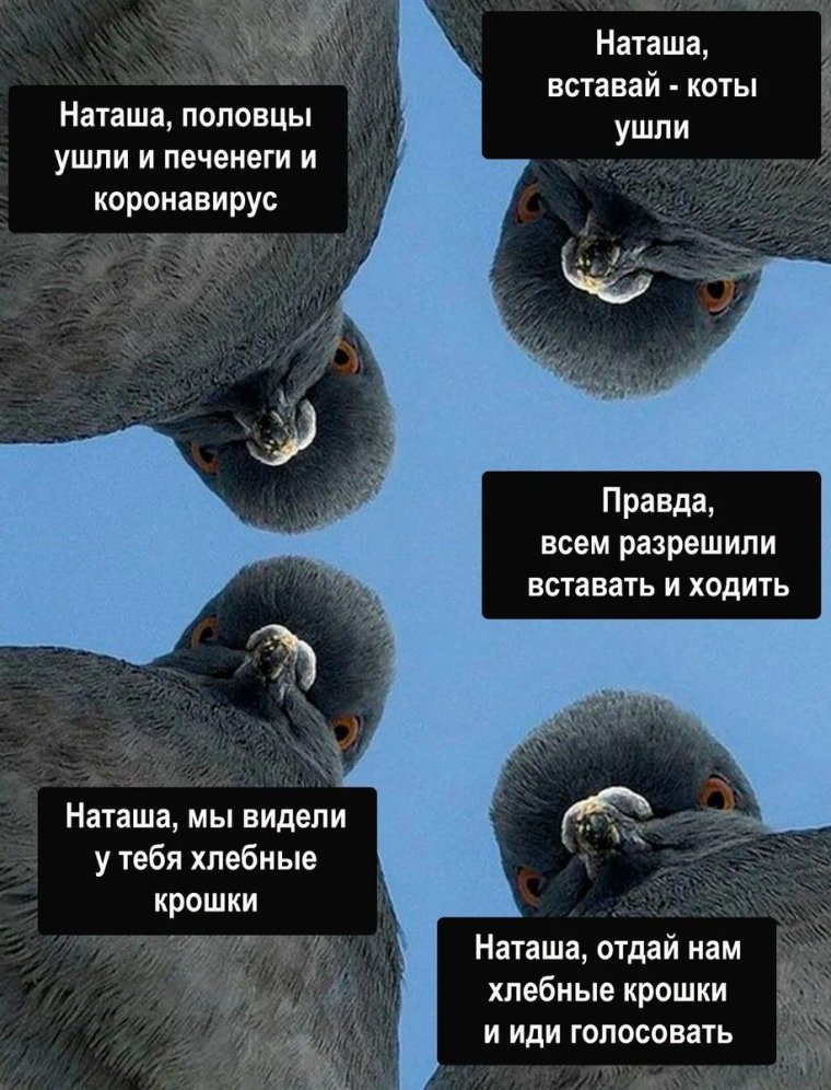 Ничто так не раздражает девушку как всё