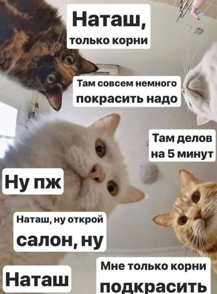 Анекдоты про Настю смешные