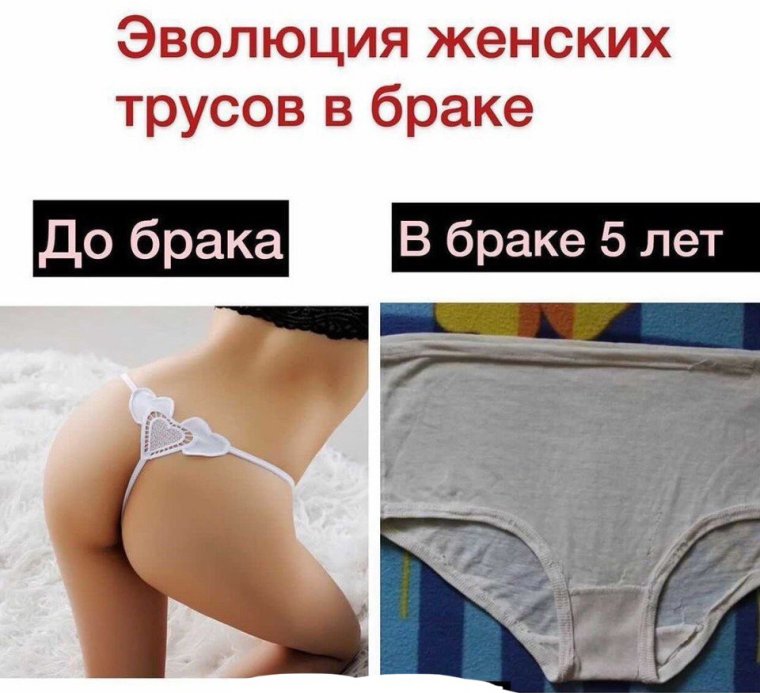 Эволюция трусов в браке