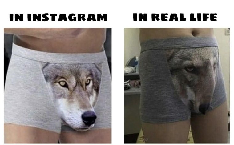 Трусы с волком мужские ожидание реальность