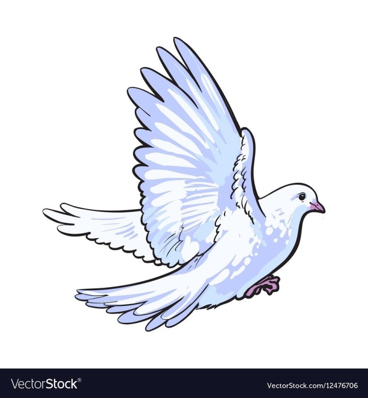 Голуби печать