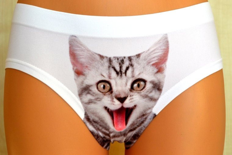 Трусы с кошачьей мордой