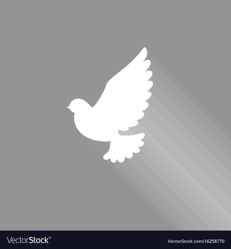 Очертания белого голубя