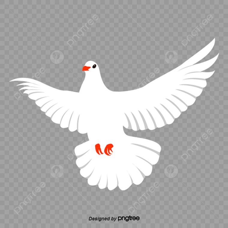 Голуби на 9 мая