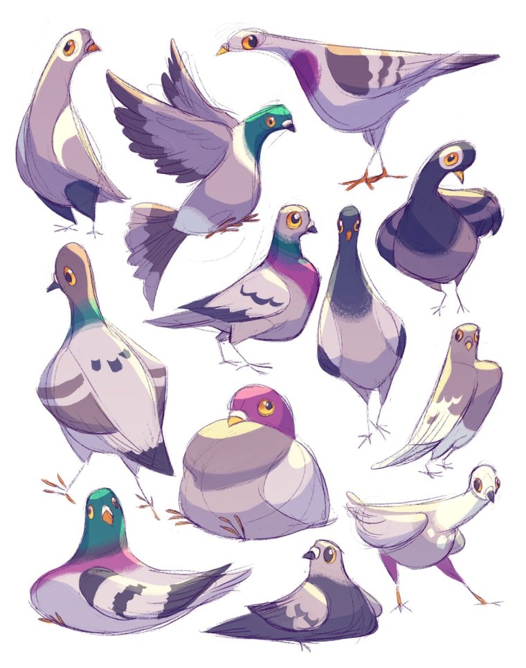 Голубь на аву