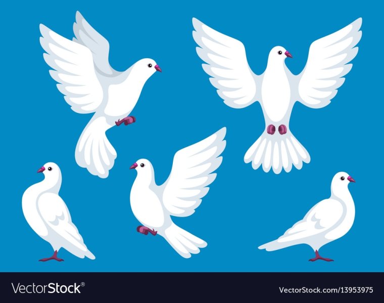 Голуби печать