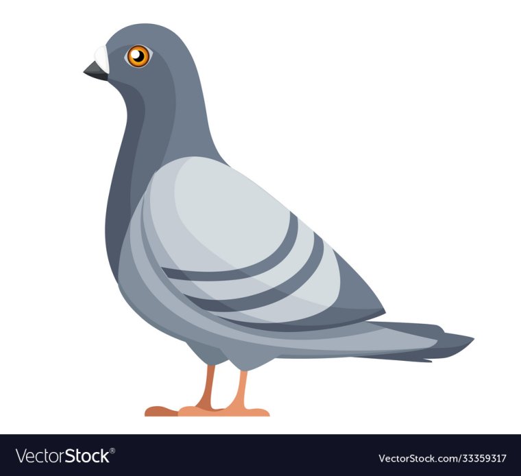 Белый голубь символ мира