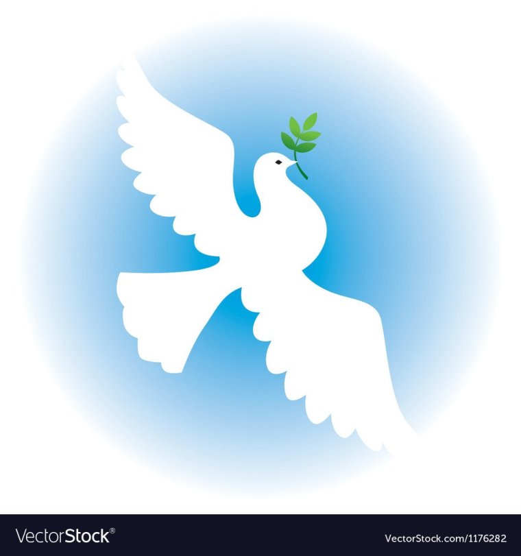 Белый голубь с ветвью