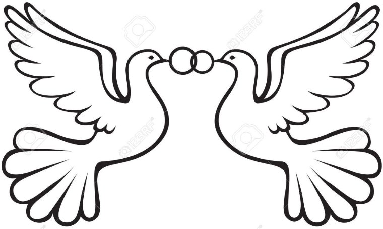 Голубь мира с оливковой ветвью