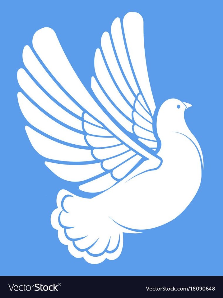 Голуби голубого цвета трафареты
