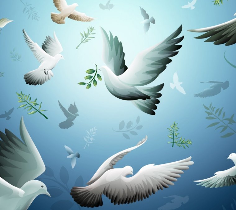 Голубь раскраска