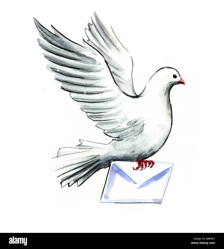 Голубь персонаж