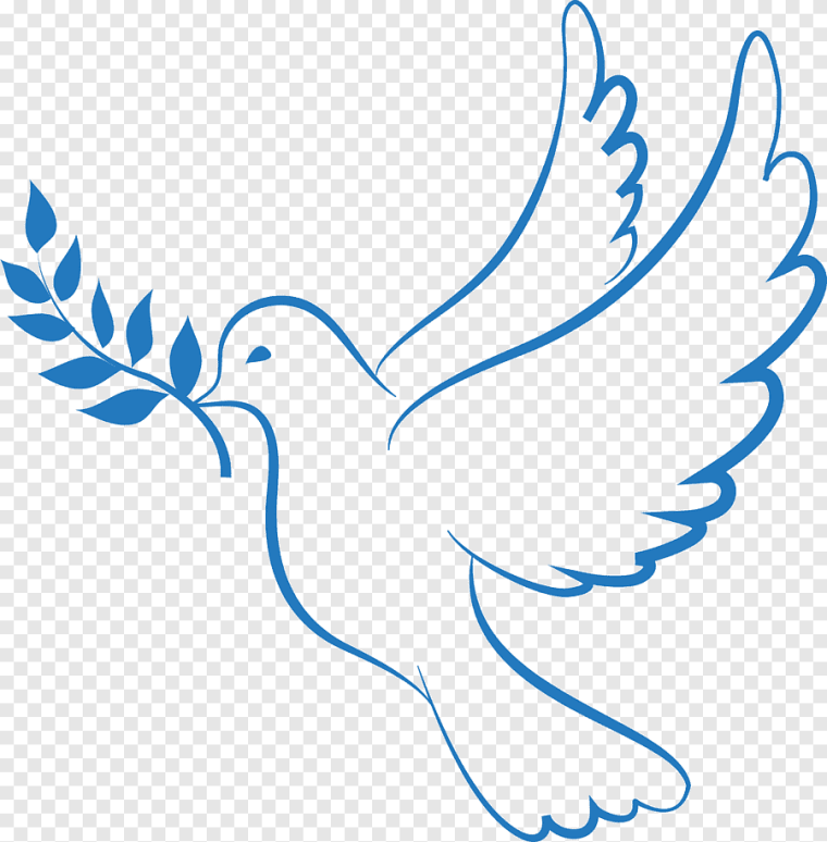 Голубь Графика