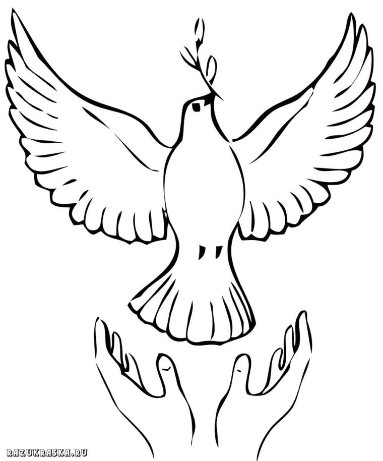 Герб семьи с голубями