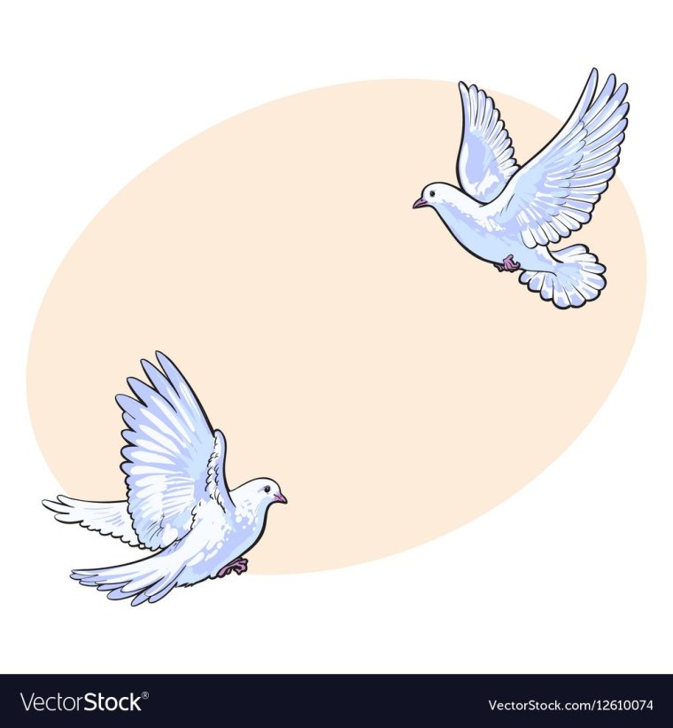 Руки выпускающие голубя мира