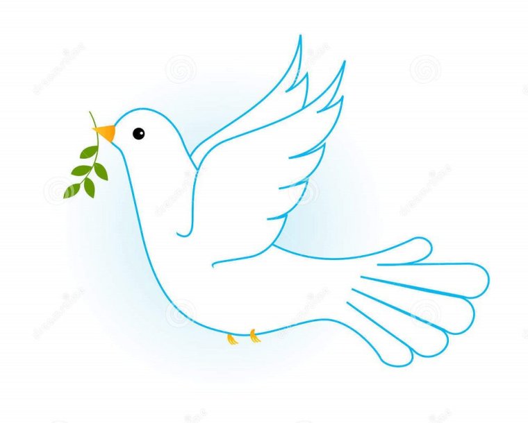 Нарисовать белого голубя
