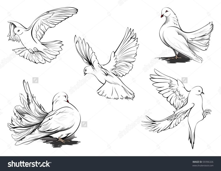 Голуби на свадьбу трафарет