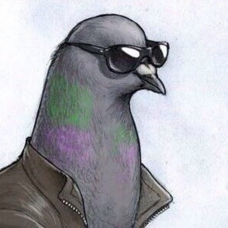 Веточка голубю мира контур