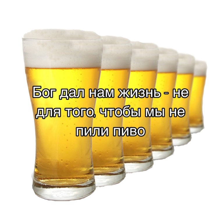 Приколы про пиво